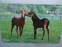 JAPAN NTT AND OTHERS  USED CARDS  HORSES - Pferde