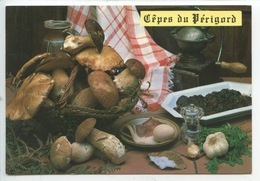 Cèpes Du Périgord - Recette Gastronomie - Cp Vierge N°1601 (saucisse Jambon Ail Persil......) - Pilze