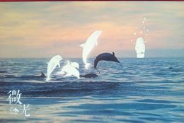 Dolphins - Dauphins