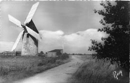 ¤¤   -   ILE De NOIRMOUTIER   -   BARBATRE   -   Le Moulin Du Gois   -   ¤¤ - Ile De Noirmoutier