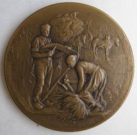 Médaille Comice Agricole De Saint Vallier Sur Rhône, La Drôme Par Rives - Altri