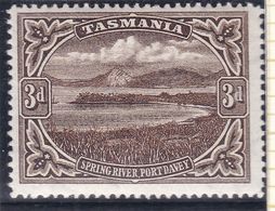 Tasmania 1900 P.14 SG 233 Mint Hinged - Nuevos