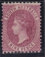 South Australia 1900 P.11.5x13 SG 124 Mint Hinged - Ongebruikt