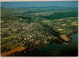 MEISTERSCHWANDEN Am HALLWILERSEE. - Meisterschwanden