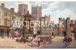 WELLS MARKET PLACE  OLD ART COLOUR POSTCARD A.R. QUINTON SALMON 1586 - Quinton, AR