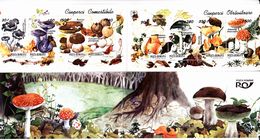 BOOKLETS MUSHROOMS,1994 , ROMANIA - Carnets