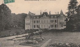 EVRY-PETIT-BOURG. - Château De Mousseau. Cliché RARE - Evry