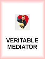 JOHNNY HALLYDAY MEDIATOR Medium PLECTRUM Guitar Pick (fond Rouge) - Zubehör & Versandtaschen