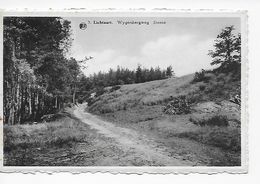 3.  Lichtaart   Wygersbergweg  Steene - Kasterlee