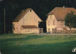 Cpm 10x15. PRESTIGE . ALSACE .679015-P15   2 Grosses  Maisons De Campagne - Fotografie