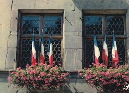 Cpm 10x15. PRESTIGE . ALSACE .679029-P29   Drapeaux Tricolores Aux Fenêtres - Photographs