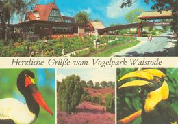 Vogelpark Walsrode (Bird Park), Germany - Entrance, Stork, Hornbill - Walsrode