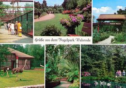 Vogelpark Walsrode (Bird Park), Germany - Aviaries, Flowers, Entrance, Rheas, Pelicans - Walsrode