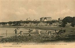 Préfailles * Les Jours De Grande Marée Tout Le Monde Se Porte Au Cormier Armé Pour La Pêche * Pêcheurs - Préfailles