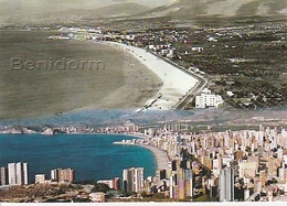 20 /6 / 81  -  BENIDORM  -  VUE  GÉNÉRALE  ( 19 6 5 - 2 0 0 5 ). CPM - Alicante