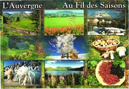 France:L'Auvergne, Mushrooms, Views - Champignons