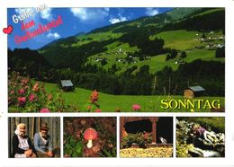 Austria:Vorarlberg, Mushroom - Pilze
