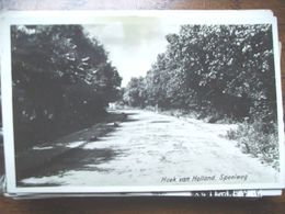 Nederland Holland Pays Bas Hoek Van Holland Met Speelweg - Hoek Van Holland