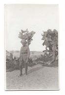 RAMLEH RAMLA (israel) Carte Photo Militaire Français 25 Avril 1918 - Israel