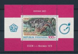 Indonesia, 1978, Cat, Animals, Fauna, Nature Conservation, MNH, Michel Block 26 - Indonésie