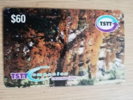 TRINIDAD & TOBAGO    $60,-  NO T&T-P 16   TSTT   POUI TREE       ** 2208** - Trinidad & Tobago