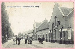 Merxplas (Colonie) - Une Partie De La Ferme - Merksplas - 1907 - Merksplas