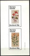 {B231} Plants Flowers I Sheet Of 2 Imperf. MNH** LABEL Cinderella !! - Vignettes De Fantaisie