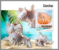 MOZAMBIQUE 2020 MNH Shells Muscheln Coquilles S/S - IMPERFORATED - DHQ2021 - Coneshells