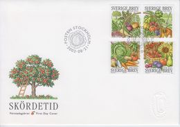 Delcampe - ZWEDEN Skodetid - Oogsttijd 21-08-2003 - FDC