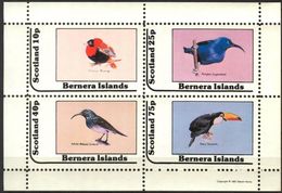 {B285} Birds III Sheet Of 4 MNH** LABEL Cinderella !! - Vignettes De Fantaisie