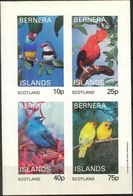 {B291} Birds VI Sheet Of 4 Imperf. MNH** LABEL Cinderella !! - Vignettes De Fantaisie