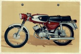 MAGNEET 80-S +-12,5cm X 18cm  Moto MOTOCROSS MOTORCYCLE Douglas J Jackson Archive Of Motorcycles - Sonstige