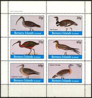 {B314} Birds II Sheet Of 6 MNH** LABEL Cinderella !! - Vignettes De Fantaisie