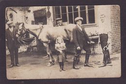 CPA Allemagne Germany Carte Photo Non Circulé à Identifier Voir Scan Du Dos Métier Maréchal Ferrand - Zu Identifizieren