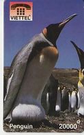 Viet-Nam - Manchots Royaux - Pingueinos