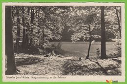 Voyo Ostseebad GRAAL-MUERITZ Morgenstimmung An Der Rehwiese Unused  Excellent Condition 1930s Echte Photo - Graal-Müritz