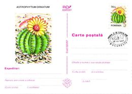 Romania:Postal Stationery, Cactus, Astrophytum Ornatum, 1997 - Cactusses