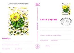 Romania:Postal Stationery, Cactus, Lauchtenbergia Principis, 1997 - Cactusses