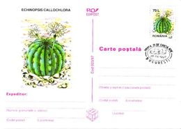 Romania:Postal Stationery, Cactus, Echinopsis Callochlora, 1997 - Cactusses