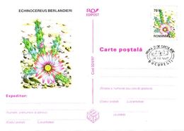 Romania:Postal Stationery, Cactus, Echinocereus Berlandieri, 1997 - Cactus