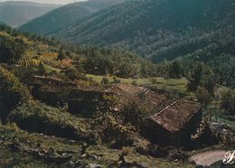 Cpm 10x15. PRESTIGE . CEVENNES   N° 079027- P27 . Maisons Sur La Colline - Photographs