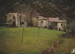 Cpm 10x15. PRESTIGE . CEVENNES   N° 07- P58 . Quelques Maisons Dans La Prairie - Fotografie