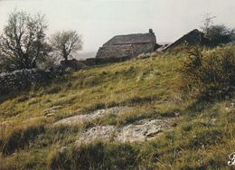 Cpm 10x15. PRESTIGE . CEVENNES   N° 07- P44 . Ferme Isolée Sur La Colline - Photographs