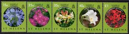 Saint Helena Island - 2008 - Christmas - Flowers - Mint Stamp Set - Ascension (Ile De L')