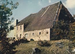 Cpm 10x15. PRESTIGE . CEVENNES   N° 07- P23.  Grosse Maison De Village - Fotografie