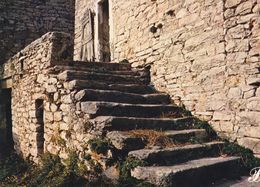 Cpm 10x15. PRESTIGE . CEVENNES   N° 07- P15. Grandes Marches En Pierre D'accès à Maison - Photographs