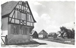 Offendorf (Bas-Rhin) Maison Alsacienne Carte Photo - Haguenau