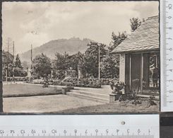 Bad Lauterberg Hausberg Gelaufen 1963  (AK 748 ) - Bad Lauterberg