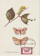 Bulgarie Carte Maximum 1968 Papillons 1610 - Covers & Documents