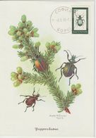 Bulgarie Carte Maximum 1968 Insectes 1613 - Briefe U. Dokumente